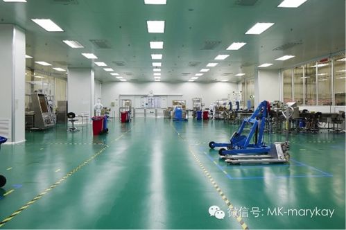 玫琳凯化妆品是否具有依赖性 理性分析与科学解答